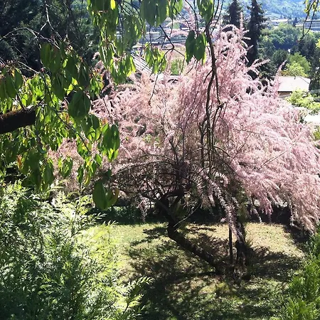 Nocleg ze śniadaniem Aria D'argento & Relax 3*