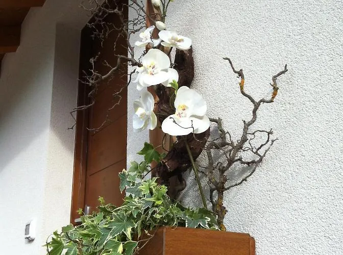 Aria D'argento & Relax 特伦托