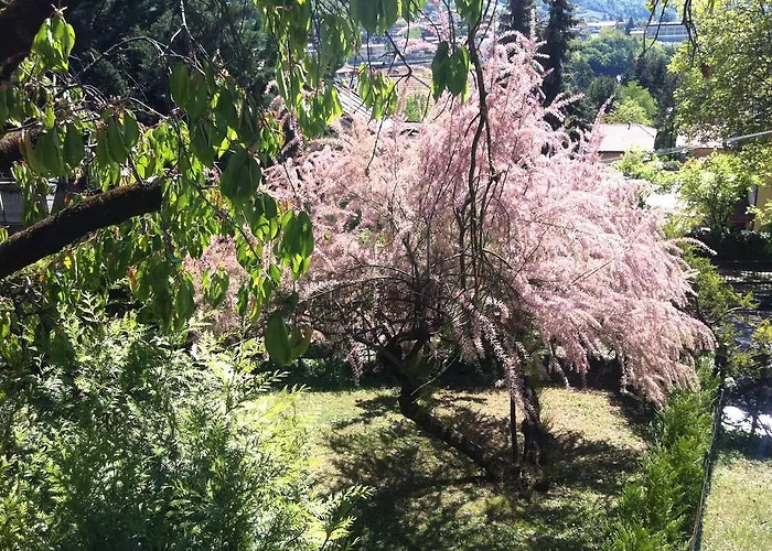 住宿加早餐酒店 Aria D'argento & Relax 3*